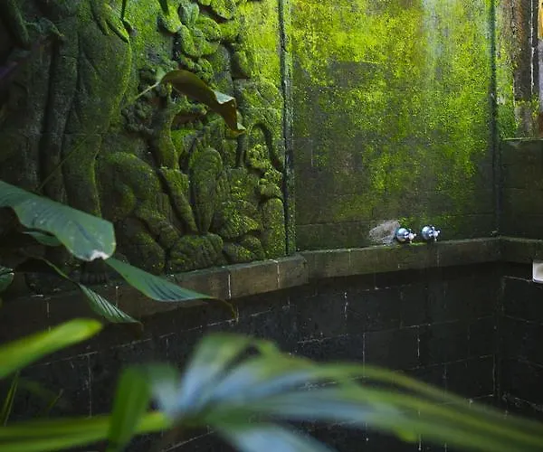 Awang Awang Ubud (Bali)