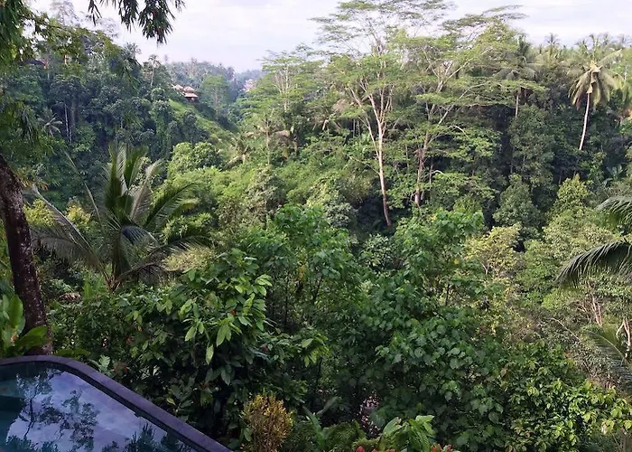 Villa Awang Awang